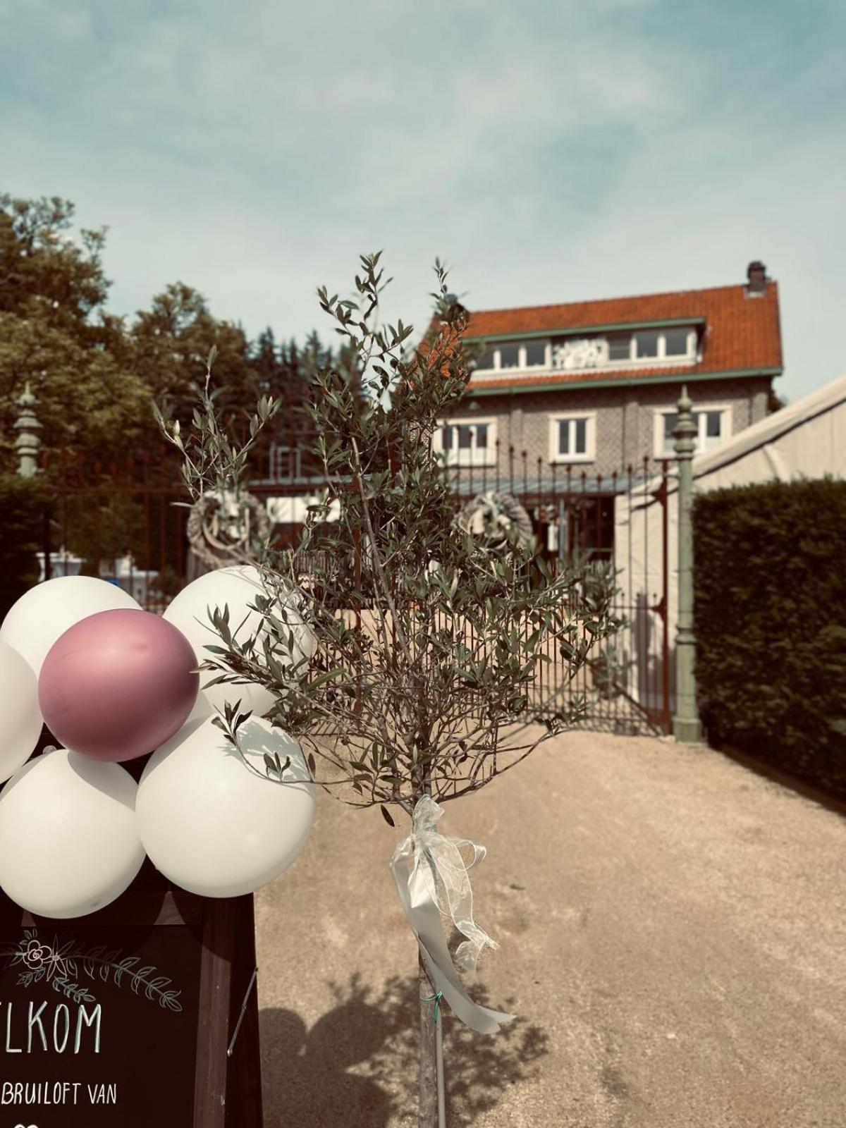 Guesthouse 'T Goed Leven Stokrooie Exterior foto